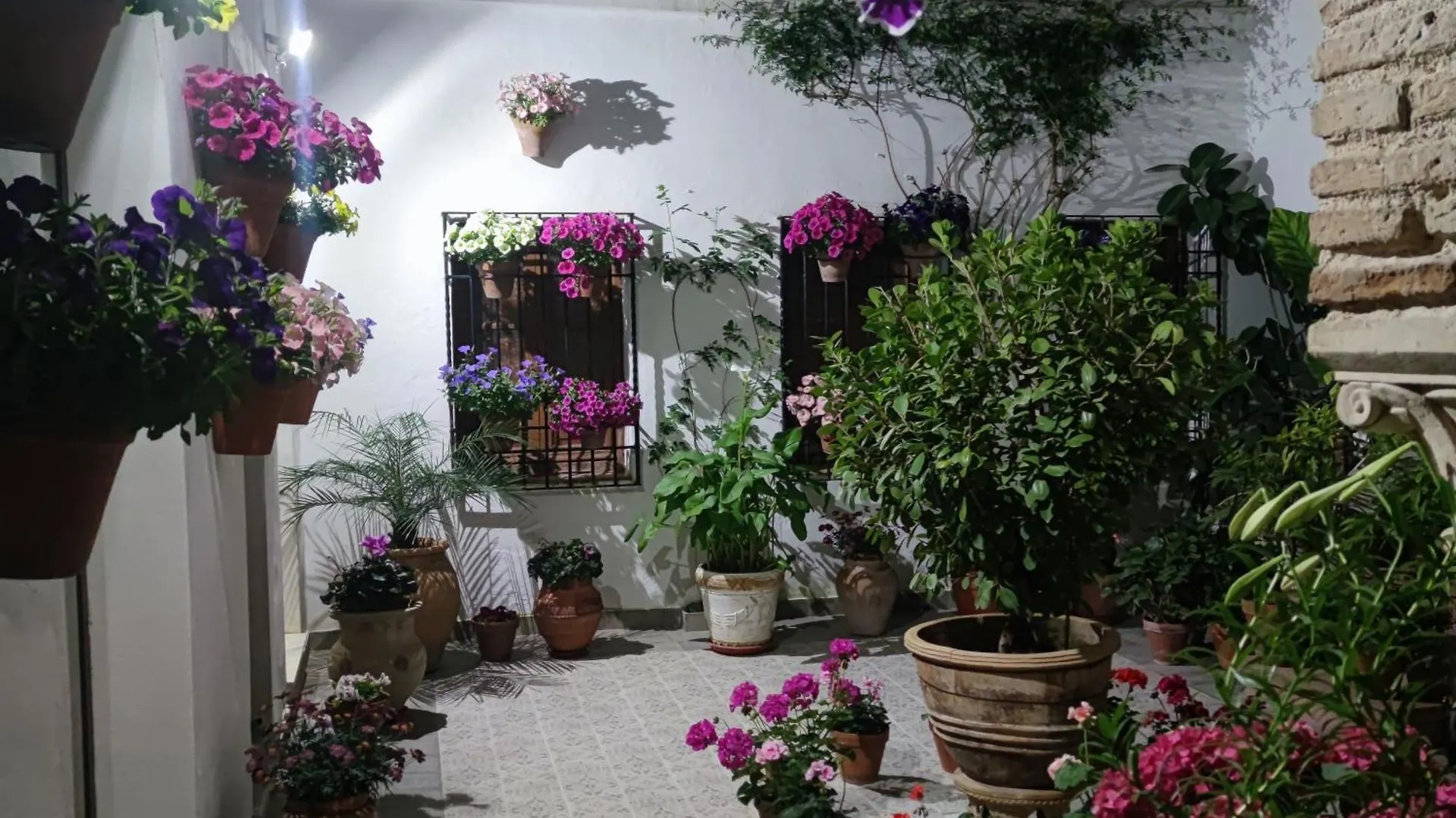 El Patio De Regina Apartment Cordoba 0*,  Spain