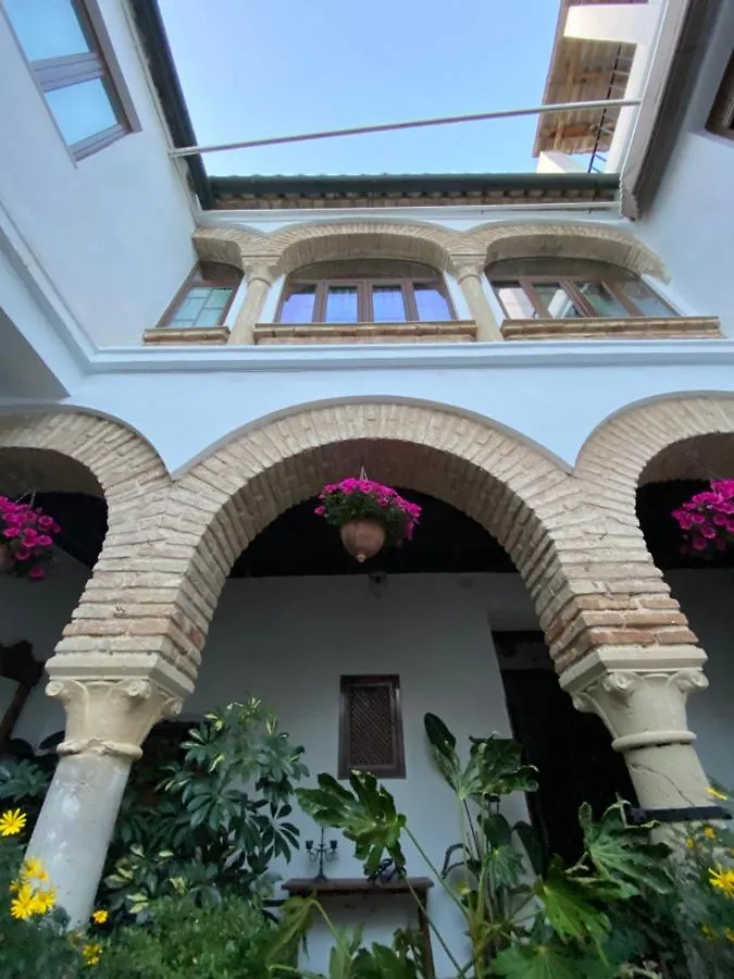 El Patio De Regina Apartment Cordoba 0*,