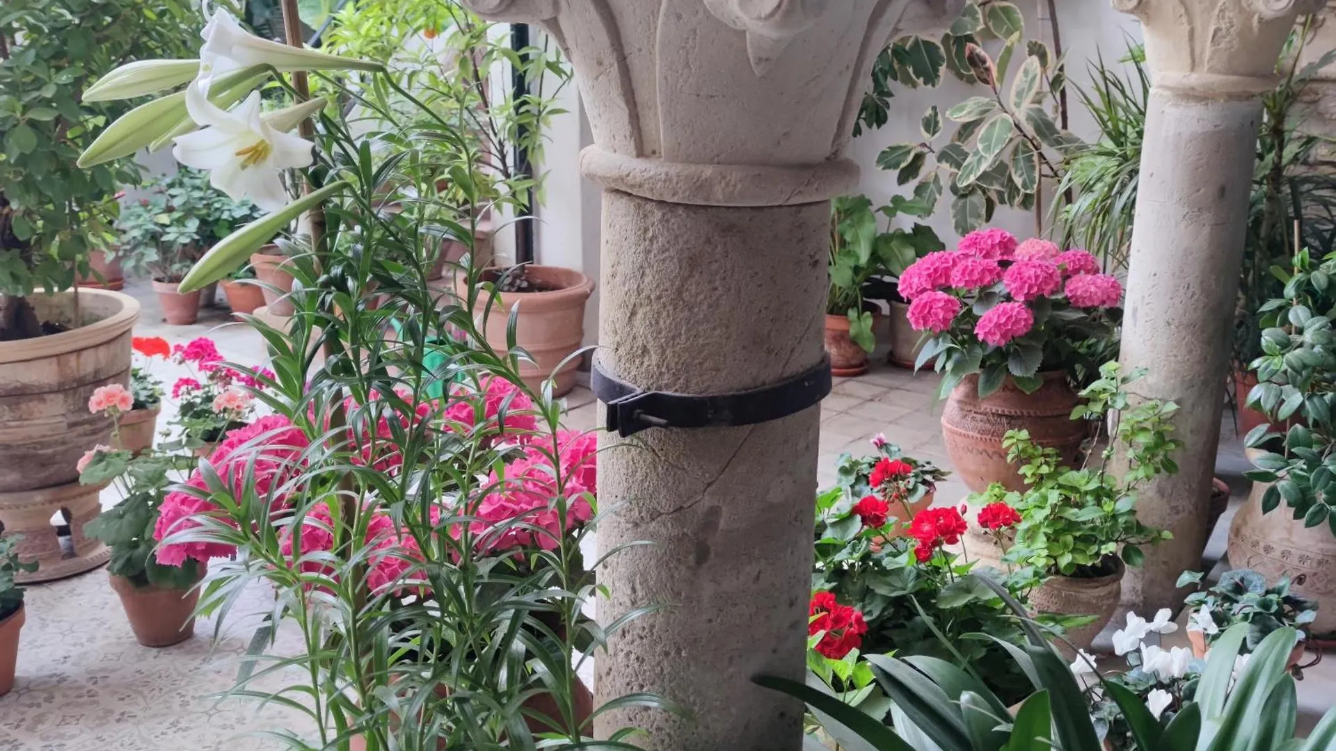 El Patio De Regina Apartment Cordoba Spain