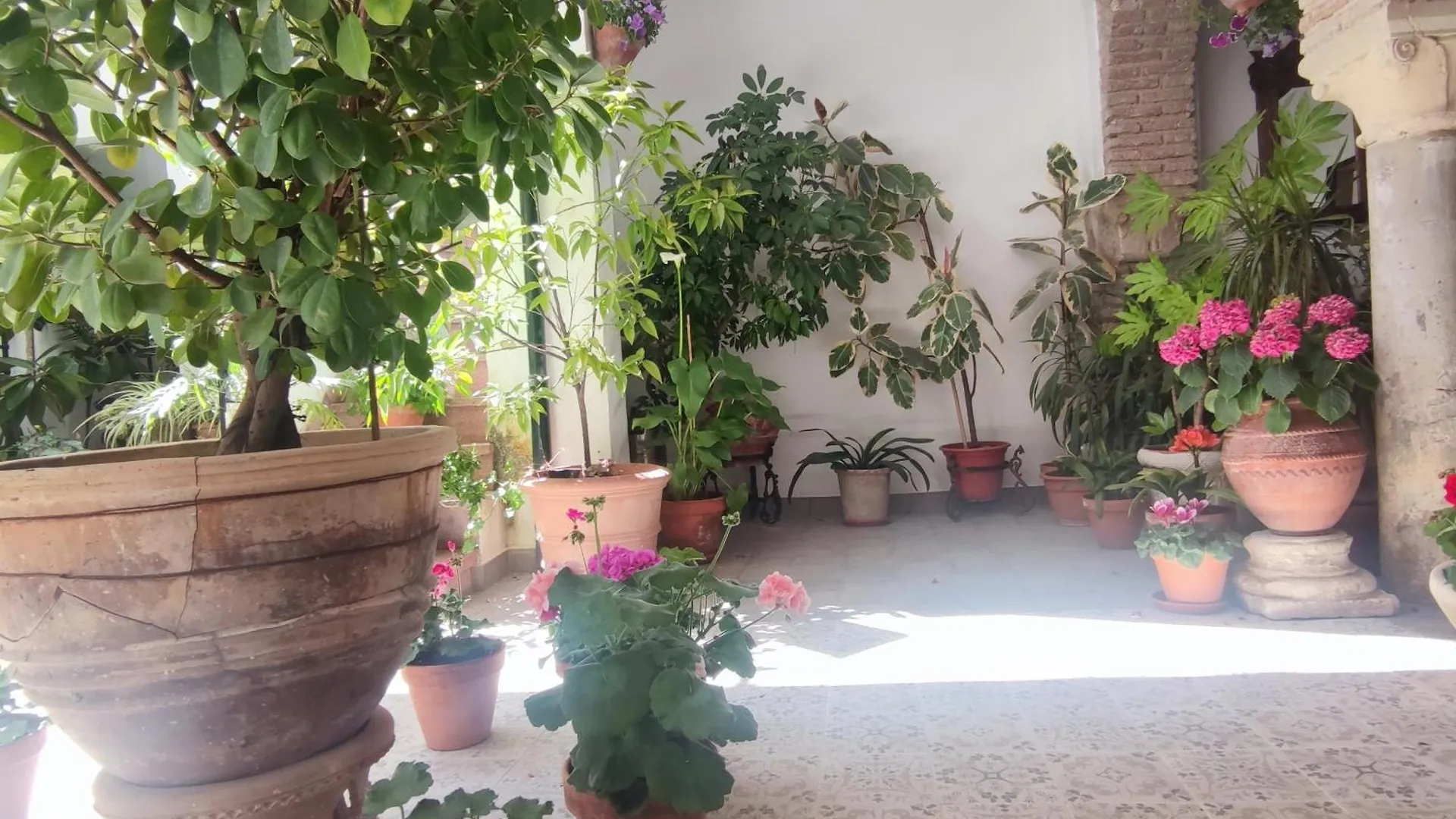 El Patio De Regina Apartment Cordoba Spain